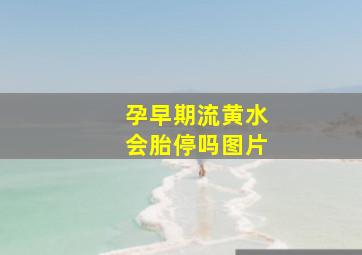 孕早期流黄水会胎停吗图片