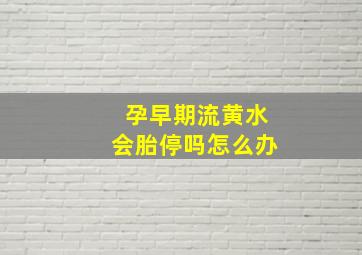 孕早期流黄水会胎停吗怎么办