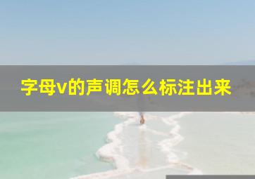 字母v的声调怎么标注出来