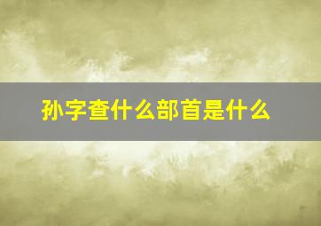 孙字查什么部首是什么