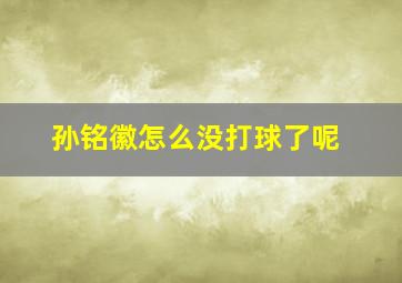 孙铭徽怎么没打球了呢