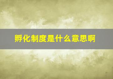 孵化制度是什么意思啊