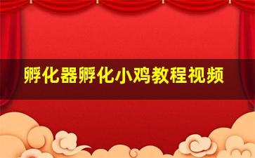 孵化器孵化小鸡教程视频