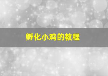 孵化小鸡的教程