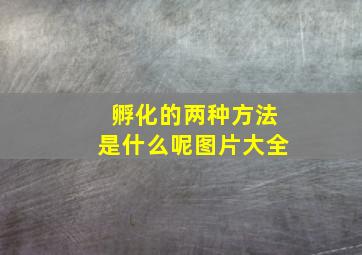 孵化的两种方法是什么呢图片大全