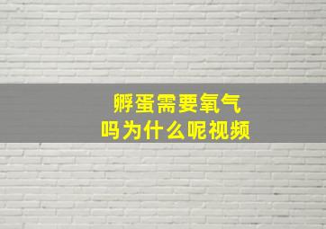 孵蛋需要氧气吗为什么呢视频