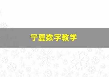 宁夏数字教学