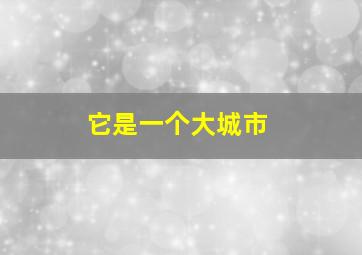 它是一个大城市