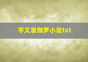 宇文邕伽罗小说txt