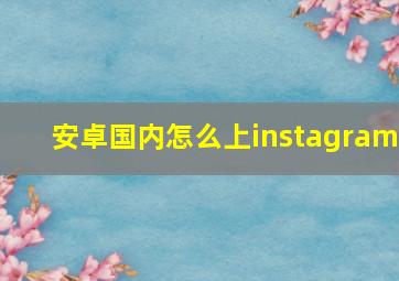 安卓国内怎么上instagram