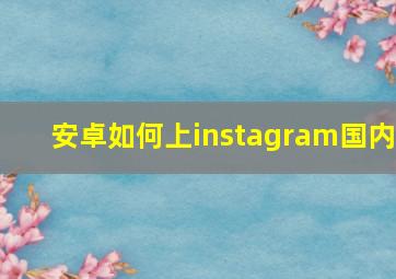 安卓如何上instagram国内