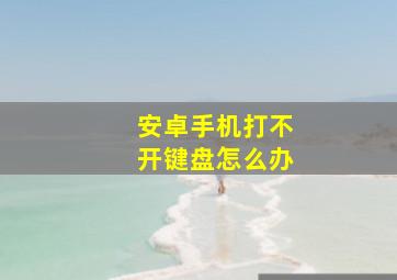 安卓手机打不开键盘怎么办