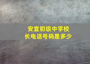 安宜初级中学校长电话号码是多少