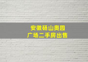 安徽砀山奥园广场二手房出售