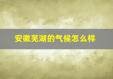 安徽芜湖的气候怎么样