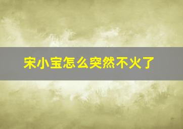 宋小宝怎么突然不火了