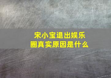 宋小宝退出娱乐圈真实原因是什么