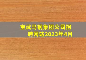 宝武马钢集团公司招聘网站2023年4月