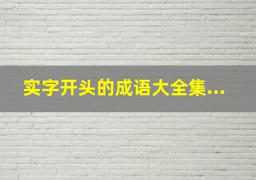 实字开头的成语大全集...