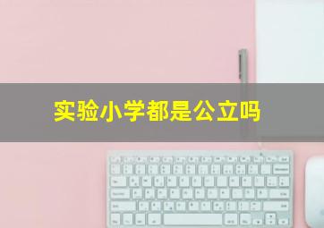 实验小学都是公立吗