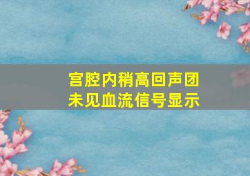 宫腔内稍高回声团未见血流信号显示