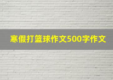 寒假打篮球作文500字作文