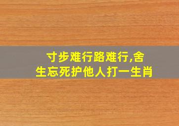 寸步难行路难行,舍生忘死护他人打一生肖