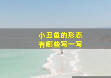 小丑鱼的形态有哪些写一写