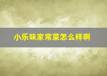 小乐味家常菜怎么样啊