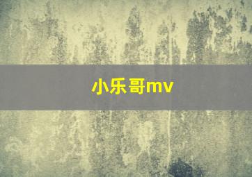 小乐哥mv