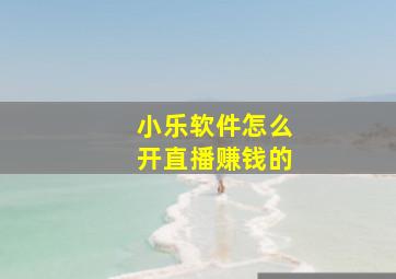 小乐软件怎么开直播赚钱的