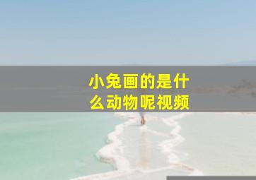 小兔画的是什么动物呢视频