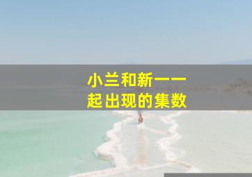 小兰和新一一起出现的集数