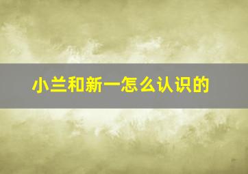 小兰和新一怎么认识的