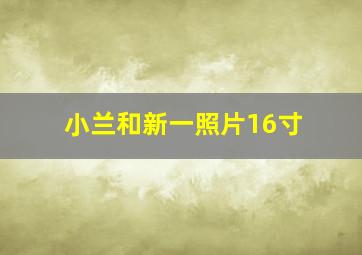 小兰和新一照片16寸