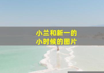 小兰和新一的小时候的图片