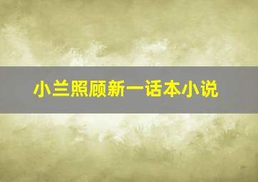 小兰照顾新一话本小说