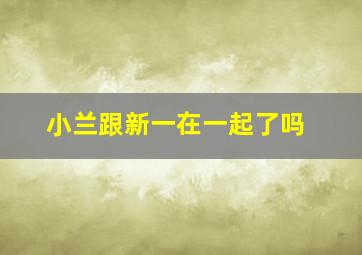 小兰跟新一在一起了吗