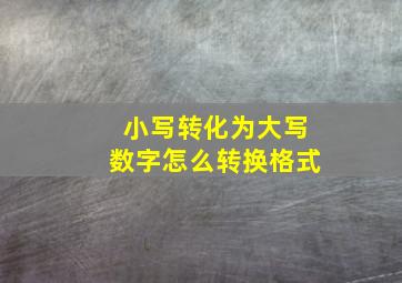 小写转化为大写数字怎么转换格式