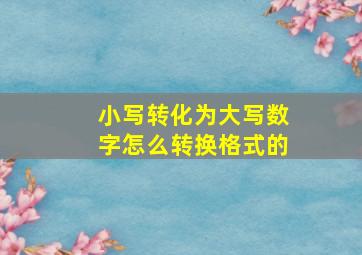 小写转化为大写数字怎么转换格式的