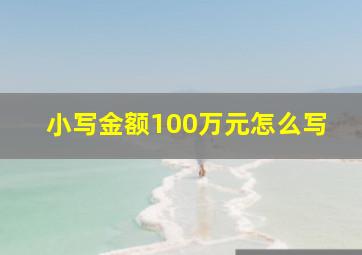 小写金额100万元怎么写