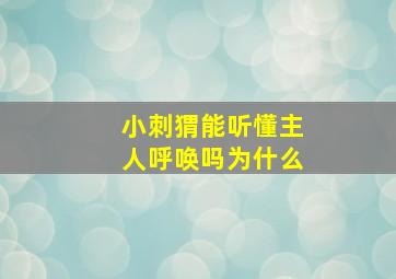 小刺猬能听懂主人呼唤吗为什么