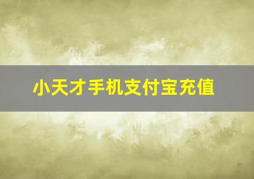 小天才手机支付宝充值