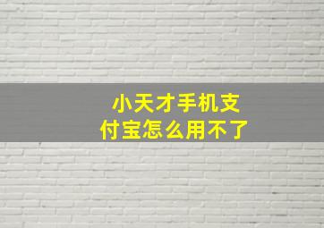 小天才手机支付宝怎么用不了