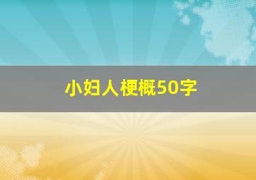 小妇人梗概50字