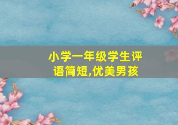 小学一年级学生评语简短,优美男孩