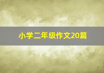 小学二年级作文20篇