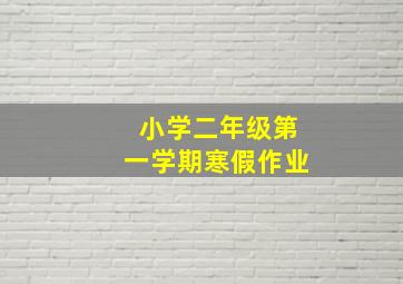 小学二年级第一学期寒假作业