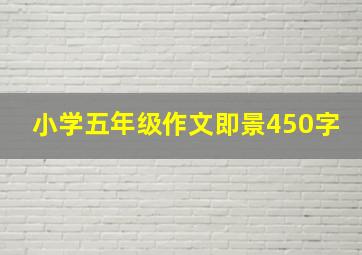 小学五年级作文即景450字