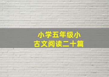 小学五年级小古文阅读二十篇